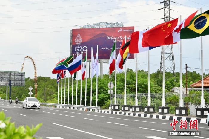 印尼巴厘島道路上G20成員國的國旗及歡迎海報(bào)。 中新社記者 李志華 攝