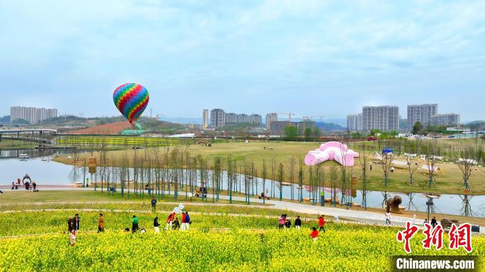湖北宜昌卷橋河濕地公園內，市民相伴享受都市里的田園之樂 周星亮 攝