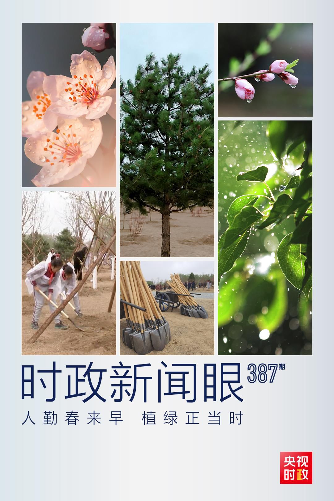 在今年首都義務植樹現(xiàn)場，習近平這三句話飽含深意