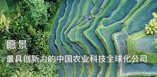 先正達過會！A股史上第四大IPO什么來頭？