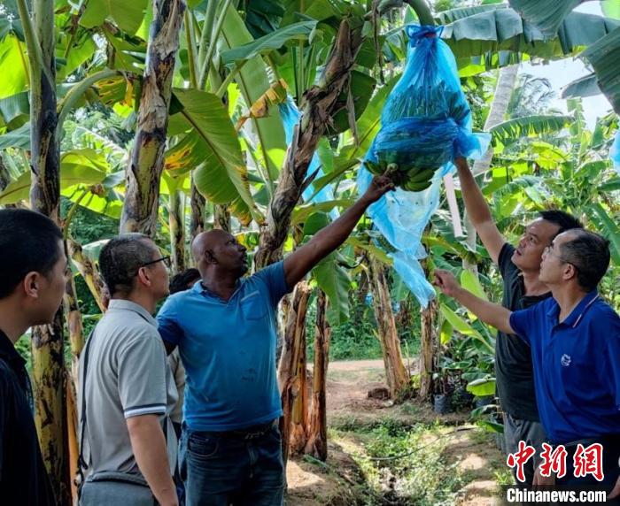 在金融危機(jī)國家助農(nóng)是什么體驗(yàn)？專訪“中國-FAO-斯里蘭卡南南合作”項(xiàng)目團(tuán)隊(duì)隊(duì)長
